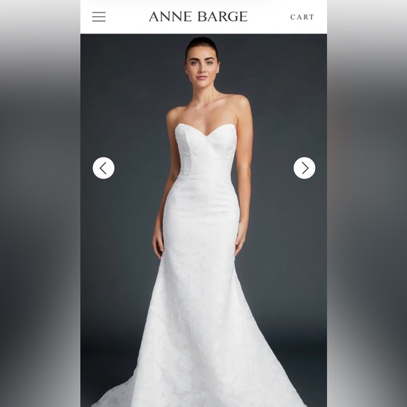 Anne Barge Blue Willow Wedding Dress (Walker style) - Picture 4 of 16